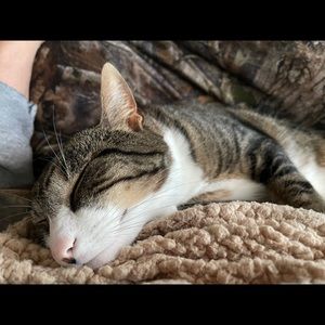 Meet your Posher, Nicholas